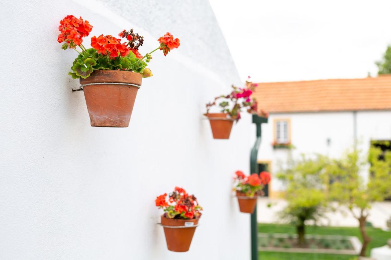 Casa D'Oliveira Bed and Breakfast Aveiro Buitenkant foto