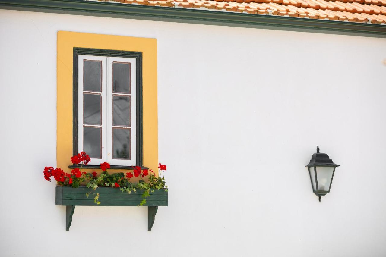 Casa D'Oliveira Bed and Breakfast Aveiro Buitenkant foto